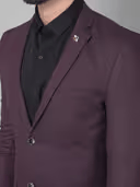 Mens Wine Checked 2 Piece Suit